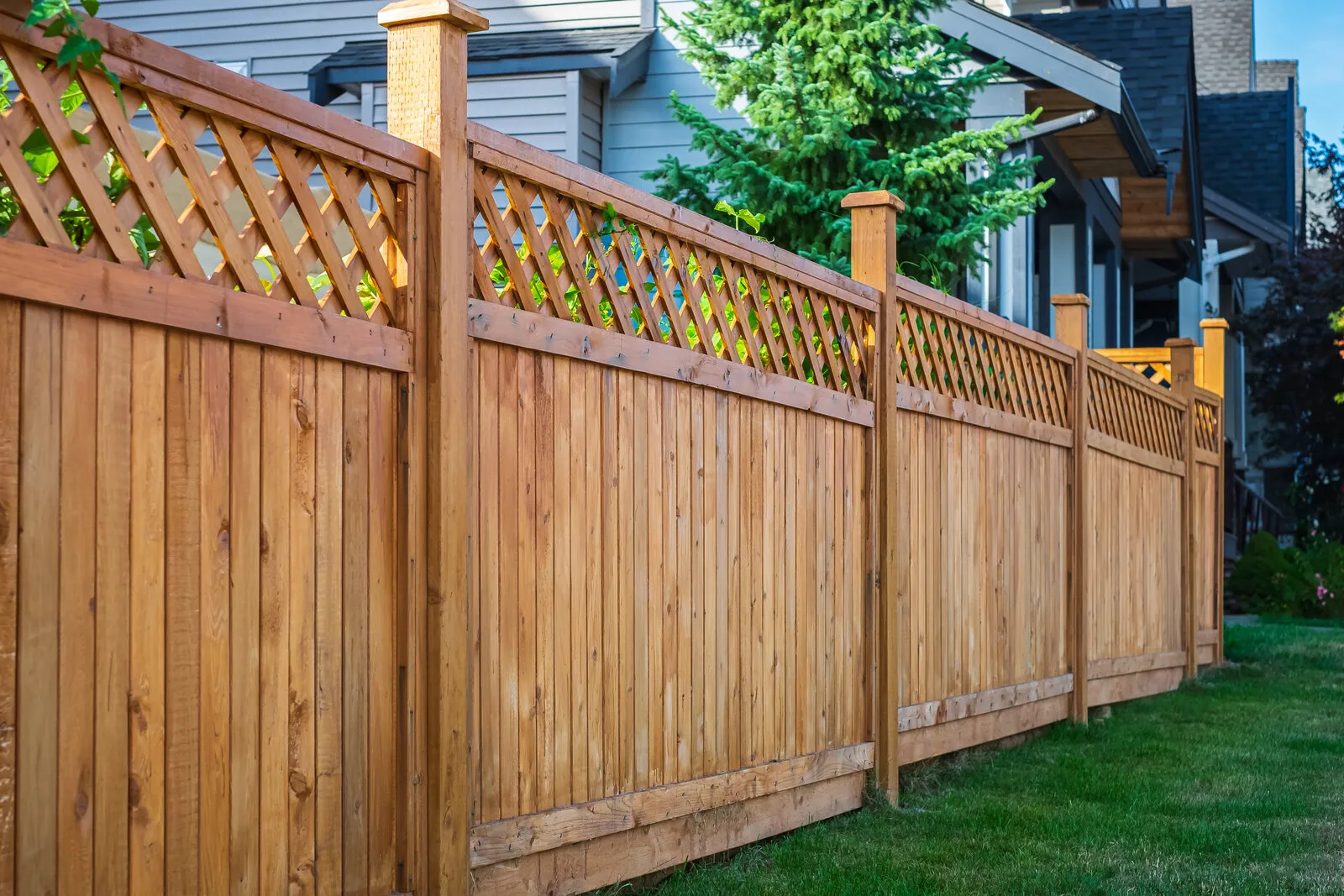 Wood privacy fence with lattice top around a residential backyard, illustrative photo